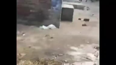 बिदुपुर: सरस्वती प्रतिमा विसर्जन के दौरान हुई मारपीट, वीडियो सोशल मीडिया पर वायरल