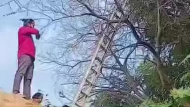 चिचोली: पतंगबाजी का शौक बेजुबानों पर भारी, चिचोली नगर परिषद ने मांझे में फंसे बगुले को किया रेस्क्यू