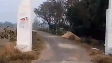 देव: दधपागढ़ में लक्ष्मी नारायण मंदिर का वार्षिक उत्सव 29 जनवरी को मनाया जाएगा, कुश्ती के साथ भंडारे का आयोजन होगा