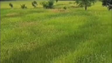 घुवारा: भगवां क्षेत्र में मौसम बदला, बारिश-आंधी से बढ़ी ठंड, किसानों की चिंता बढ़ी