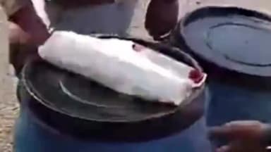 गंगधार: घाटाखेड़ी में मध्यप्रदेश पुलिस ने ड्रग्स फैक्ट्री पकड़ी, ₹5 करोड़ का माल किया ज़ब्त