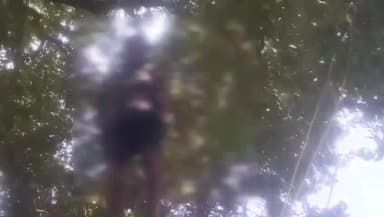 निवाली: ग्राम दिवडीया में पेड़ पर लटका मिला युवक का शव, पुलिस जांच में जुटी