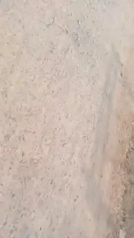 pick up se ret ki avaidh taskari ki ja rahi hai gram medra tala me harishchandrapal dwara unki swayam ki pic up hai