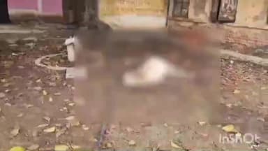 पटेरा: पटेरा जनपद कार्यालय में मृत नंदी गौवंश मिलने से कर्मचारियों की लापरवाही उजागर, वीडियो वायरल