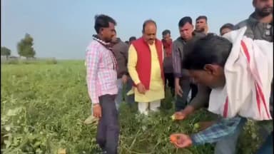 खण्डार: खंडार विधानसभा के गांव बहरा बंडा आदि क्षेत्र का दौरा किया खंडार विधायक ने, फसल खराबा का मुआवजा दिलवाने का दिया आश्वासन