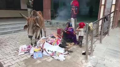 जलालाबाद: उत्तर प्रदेश बार काउंसिल के चुनाव में जलालाबाद पोलिंग बूथ पर 30 और 31 जनवरी को 202 अधिवक्ता डालेंगे वोट