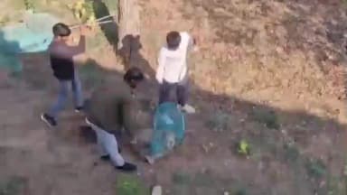 चिड़ावा: चिड़ावा के वार्ड 16 में 15 से अधिक लोगों को काटने वाले पालतू कुत्ते को नगरपालिका टीम ने कड़ी मशक्कत के बाद पकड़ा