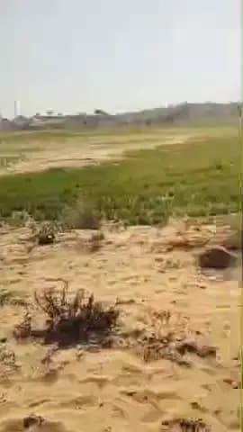 ओसियां: केलनसर से चिमाना जाने वाले सड़क मार्ग पर एक हादसे में युवती की हुई मौत