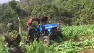 चौपारण: चौपारण थाना क्षेत्र में अवैध अफीम की खेती नष्ट, 100 एकड़ फसल का विनष्टीकरण