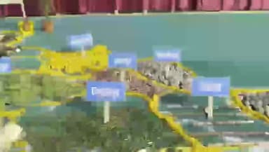 शिवाजी नगर: समस्तीपुर समृद्धि यात्रा में पहुंचे नीतीश कुमार, प्रखंड क्षेत्र की फसल प्रदर्शनी लगाई