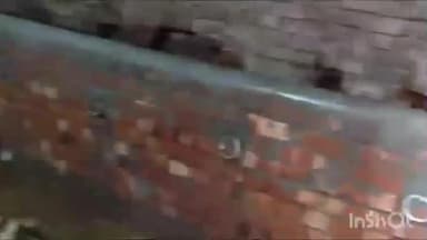 पीरो: पीरो के करवनिया गांव में बीती रात चोरों ने किसान जगदिश सिंह के घर के बाहर बंधे चार मवेशियों की चोरी की