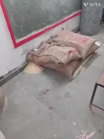 बनमनखी: मध्य विद्यालय बथनाहा से चावल की चोरी, पुलिस जांच में जुटी