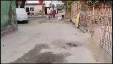 बैसि: लहटी टोला जाने वाली पीसीसी सड़क जर्जर