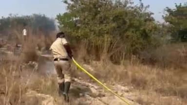 ಚಿಕ್ಕನಾಯಕನಹಳ್ಳಿ: ಸೋರಲಮಾವಿನಲ್ಲಿ ಬೆಂಕಿ ಅವಾಂತರ – 40 ಎಕರೆಯಲ್ಲಿ ಬೆಳೆ ನಾಶ