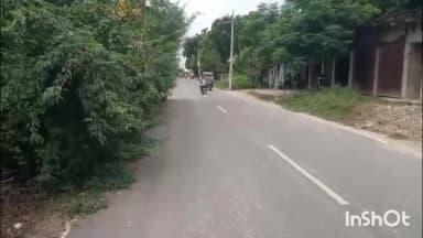 सोरांव: सड़क के बगल उगी झाड़ियों से लोगों को सता रहा दुर्घटना का डर, छटाई की मांग