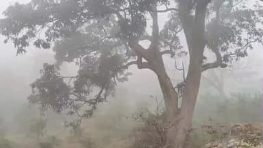 बूरमू: बुढ़मू में कोहरे का कहर: सड़कें धुंध से ढकीं, चालक परेशान, बच्चे स्कूल से वंचित!