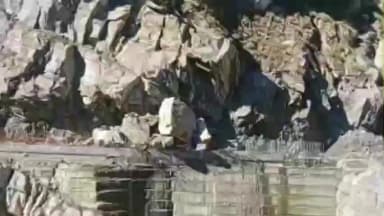 टापरी: किन्नौर के उरनी ढांक के करीब पहाड़ों से सड़क पर गिरी चट्टान, मजदूरों को नहीं हुआ कोई नुकसान