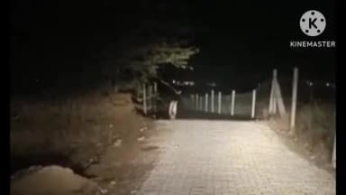 नांगल चौधरी: राजस्थान सीमा से सटे दताल गांव में रात को दिखा तेंदुआ, ग्रामीणों में दहशत, वीडियो वायरल