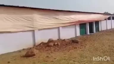 ब्यौहारी: चरवहिंया धाम गौशाला में दो मवेशियों की मौत, वीडियो आया सामने