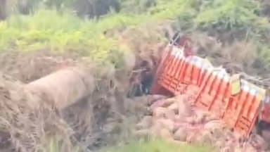 दक्षिण सोलापूर: सोलापूर विजापूर रस्त्यावर वडकबाळ येथे कांदा घेऊन निघालेल्या ट्रकचा अपघात