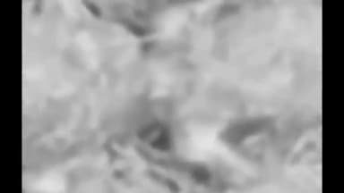 लालसोट: रतनपुरा गांव में सड़क किनारे एक मृत भ्रूण मिलने का मामला, सूचना पर झांपदा पुलिस व तहसीलदार मौके पर पहुंचे