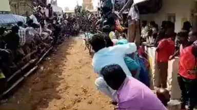 கே.வி.குப்பம்: கே வி குப்பம் அடுத்த காவனூர் கிராமத்தில் எருது விடும் திருவிழா வெகு விமர்சையாக நடைபெற்றது