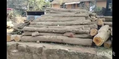 संगमेश्वर: आठवडा बाजारात वनविभागाने केलेली कारवाई ही खरी की दिखावा- नागरिकांमध्ये प्रश्नचिन्ह