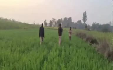 लंभुआ: लम्भुआ में गेहूं के खेत में मिले महिला के कटे अंग, इलाके में मचा हड़कंप