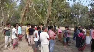 হেমতাবাদ: হেমতাবাদে গাছের মগডালে মানসিক ভারসাম্যহীন মহিলা, নামালো দমকল