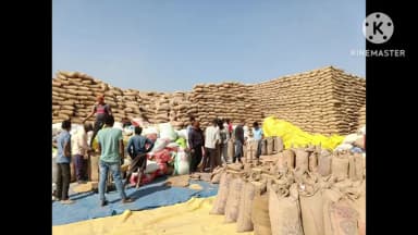 बैकुंठपुर: कोरिया जिले में धान उपार्जन 2025-26 संपन्न, 20 हजार से अधिक किसानों को किया गया भुगतान