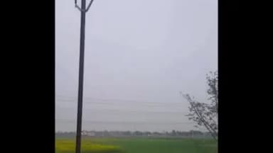 बेलछी: सकसोहरा-लच्छूचक खंधा में चोरों ने कृषि उपयोग के बिजली के तीन खटाल तार काटे, चोरी की