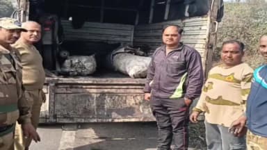 बेरमो: ढोरी और करगली क्षेत्र में सघन छापेमारी, एक बाइक के साथ 5 टन अवैध कोयला जब्त