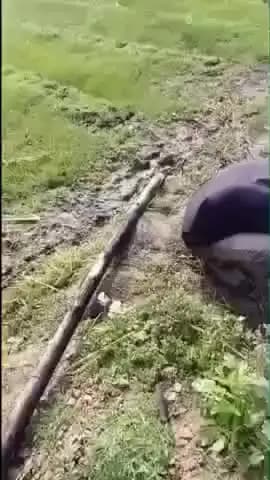 रजौन: चकझोड़ा गांव में शॉर्ट सर्किट से बोरिंग की झोपड़ी में आग, हज़ारों की संपत्ति राख