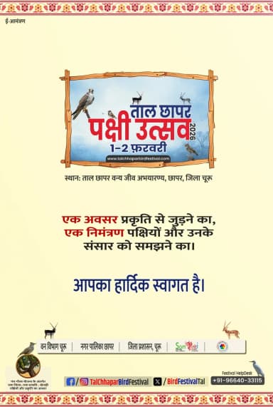 चूरू: 01 व 02 फरवरी को आयोजित होगा ताल छापर पक्षी उत्सव— 2026
जिला कलक्टर अभिषेक सुराणा ने वीडियो संदेश के माध्यम से जिलेवासियों से की तालछापर पक्षी— उत्सव : 2026 में अधिकाधिक भागीदारी की अपील, आयोजन की दी जानकारी, पक्षी दर्शन व वन्य सैर होगी विशेष आकर्षण, सांस्कृतिक संध्या का होगा आयोजन