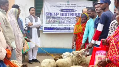 কেতুগ্রাম ১: পশুপালনের মাধ্যমে আয়ের সুযোগ, গ্রামীণ আর্থিক উন্নয়নে জোর, স্বনির্ভর গোষ্ঠীর হাতে ভেড়া তুলে দিলেন কেতুগ্রামের বিধায়ক