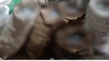 मनीगाछी: अवैध शराब के खिलाफ दरभंगा पुलिस का प्रहार, नेपाली शराब के साथ एक नाबालिग समेत दो गिरफ्तार