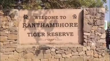 सवाई माधोपुर: सवाई माधोपुर रणथंभौर में सफारी के दौरान मोबाइल उपयोग पर रोक, वन विभाग ने जारी किए आदेश