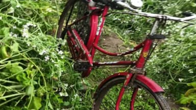 अमरोहा: अमरोहा में चोरों का आतंक, गांव मंगूपुरा से बैटरियां और साइकिल चोरी, पुलिस जांच में जुटी