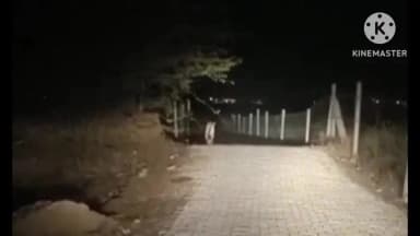 नांगल चौधरी: दताल की पहाड़ी में तेंदुए की तलाश जारी, ग्रामीणों में दहशत, वन विभाग का सर्चिंग अभियान जारी