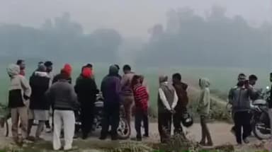 लंभुआ: लंभुआ में गेहूं के खेत में मिले महिला के कटे अन्य अवशेष, कुत्ते नोच रहे थे, जिससे ग्रामीणों को लगी भनक