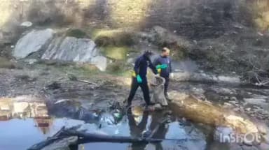 भनोली: जागेश्वर धाम में एसडीआरएफ ने चलाया वृहद स्वच्छता अभियान, क्षेत्रों में फैले कचरे को एकत्र कर किया समुचित निस्तारण