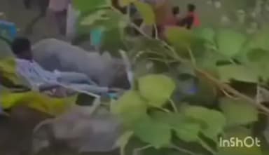 ಅಜ್ಜಂಪುರ: ನೋಡ ನೋಡ್ತಿದ್ದಂತೆ ತಮ್ಮಟದಹಳ್ಳಿ ಬಳಿ ಪಲ್ಟಿಯಾದ ಎತ್ತಿನಗಾಡಿ.!