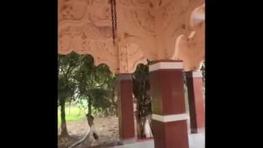 मंझनपुर: टेवां में आस्था पर बार-बार वार, टेंवा स्थित महेश बाबा शिव मंदिर सहित चार मंदिरों से चोरी हुए घंटे, सुरक्षा पर उठे सवाल