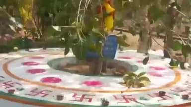 ଅମ୍ବାଭୋନା: ରାମଖୋଲ ର ପ୍ରକୃତିବନ୍ଧୁ ଭୈରବ ପାତ୍ର ନିଆରା ଢଙ୍ଗରେ ବଟବୃକ୍ଷ୍ର ପ୍ରତିଷ୍ଠା ଉତ୍ସବ ପାଳନ କଲେ,ଅତିଥି ଭାବେ ଯୋଗଦେଲେ ଅନେକ ପ୍ରକୃତି ପ୍ରେମୀ