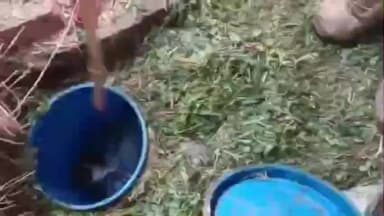 पकड़ी दयाल: पुलिस ने अजगरी गांव में छापेमारी कर एक तस्कर को 50 लीटर देसी शराब के साथ गिरफ्तार किया, भेजा गया कोर्ट