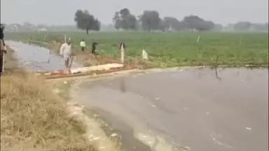 फतेहाबाद: निबोहरा क्षेत्र के कई गांवों में नाले में पानी आने से किसानों की फसल जलमग्न