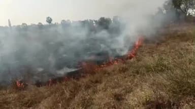 ஊத்தங்கரை: பாரதிபுரம் தேசிய நெடுஞ்சாலை அருகே விவசாய நிலத்தில் தீ பரவியதால் விவசாய நிலம் பாதிப்பு
