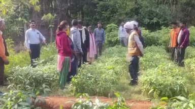 बिशुनपुर: विकास भारतीय विश्व द्वारा विज्ञान में प्रशिक्षण का आयोजन किया गया