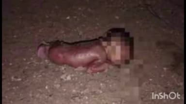 कटघोरा: बांकी मोंगरा में नवजात शिशु का शव मिलने से मचा हड़कंप, पुलिस जांच में जुटी