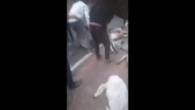 ইলামবাজার: ইলামবাজার ধল্লাবাসস্ট্যান্ড সংলগ্ন এরিয়ায় একটি ছোটো হাতি গাড়িগরু বোঝাই সঙ্গে একটি তেলের ট্যাংকের মুখোমুখি সংঘর্ষ হল